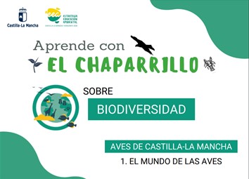 Foto biodiversidad Chaparrillo