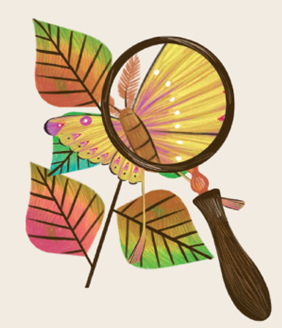 imagen de lupa, mariposa y hojas ilustración