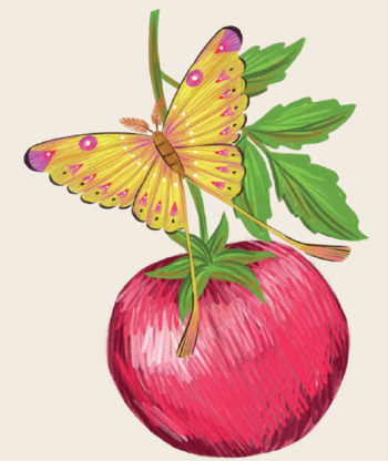 ilustración tomate y mariposa