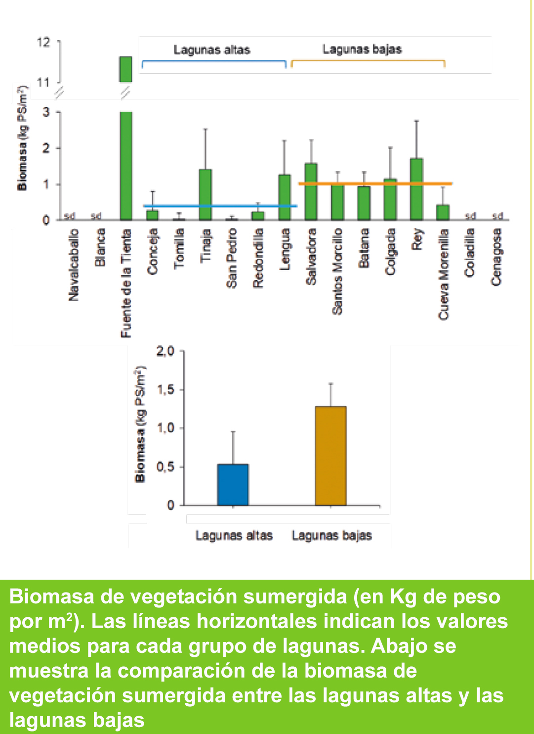 Gráfico con el peso en biomasa de vegetación sumergida por laguna
