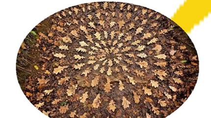 foto mosaico con hojas