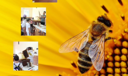 foto abeja y apicultores
