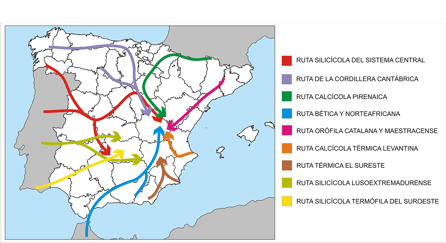 Mapa de rutas migratorias vegetales en la Península Ibérica 