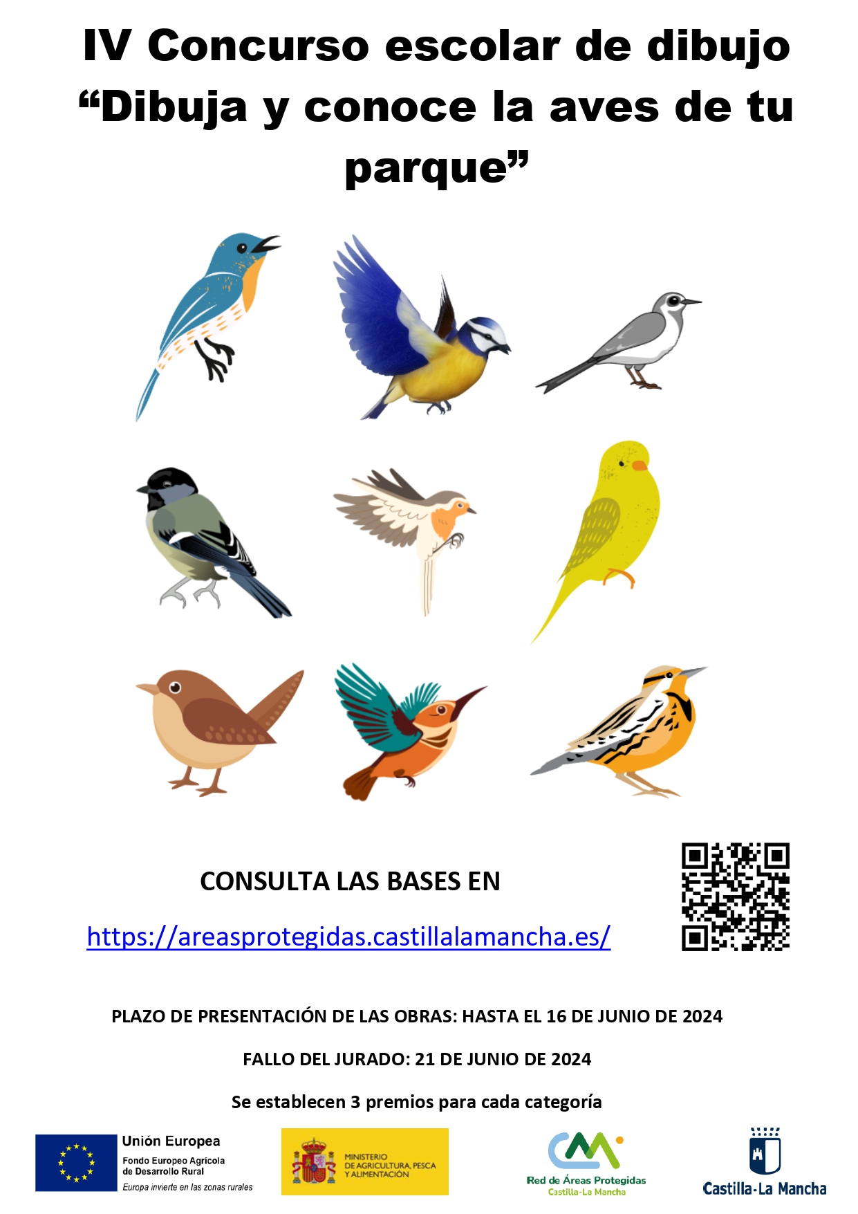 cartel con dibujos de pájaros