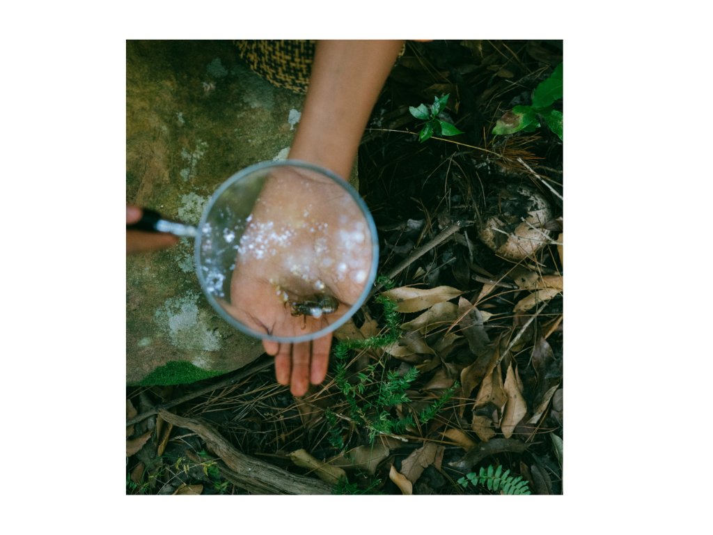 foto lupa con agua de fondo