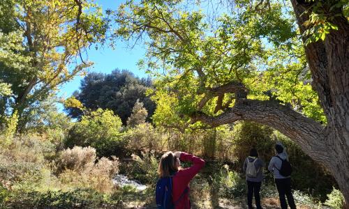 personas en bosque