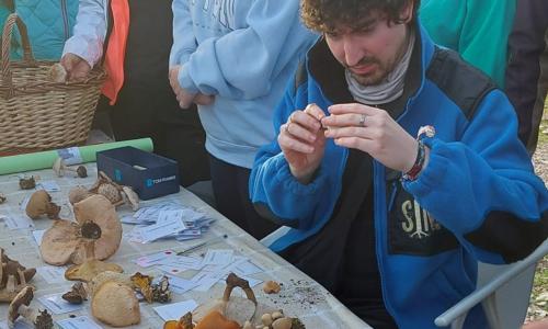 foto persona con muestras de setas