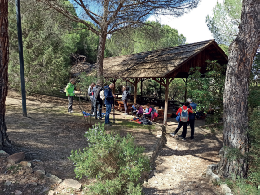 foto grupo en lugar de descanso