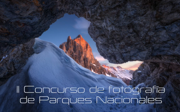 fotografía ganador año 2024