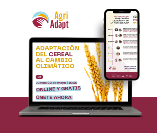 foto publicidad webinars