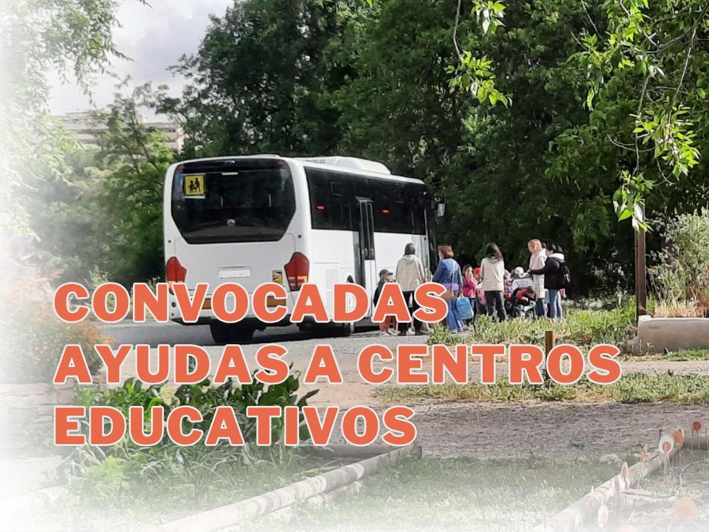 foto bus escolar