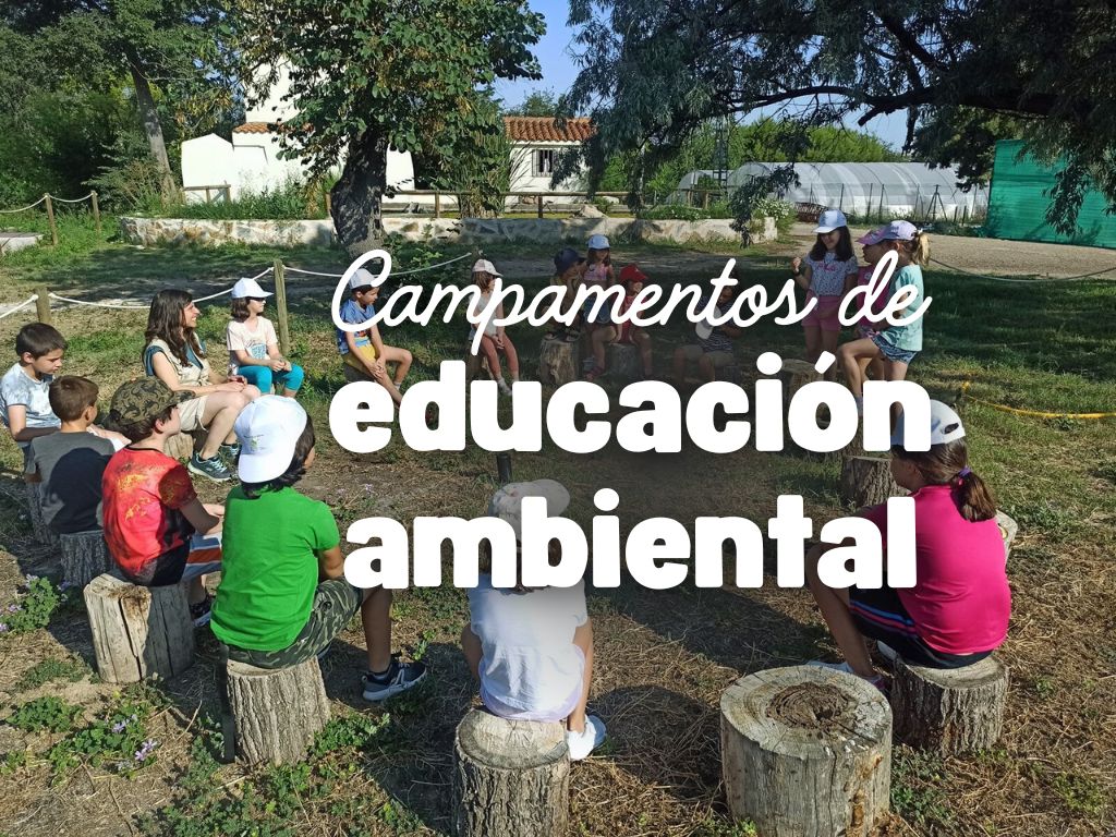 Foto niños y niñas sentados en troncos de árboles