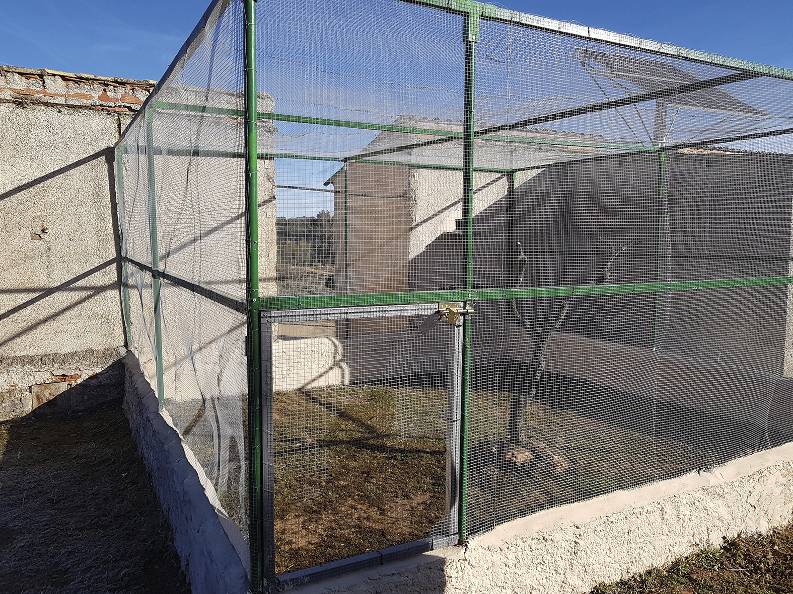 Centro de Recuperación de Fauna Salvaje El Chaparrillo (Ciudad Real)