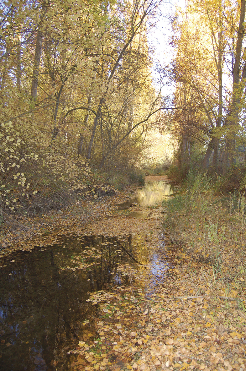 Parque Natural del Barranco del Río Dulce