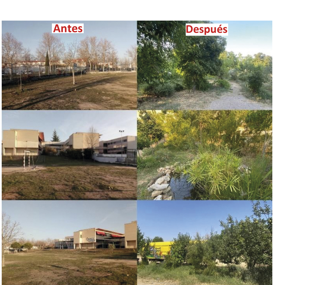 Fotografías del antes y después