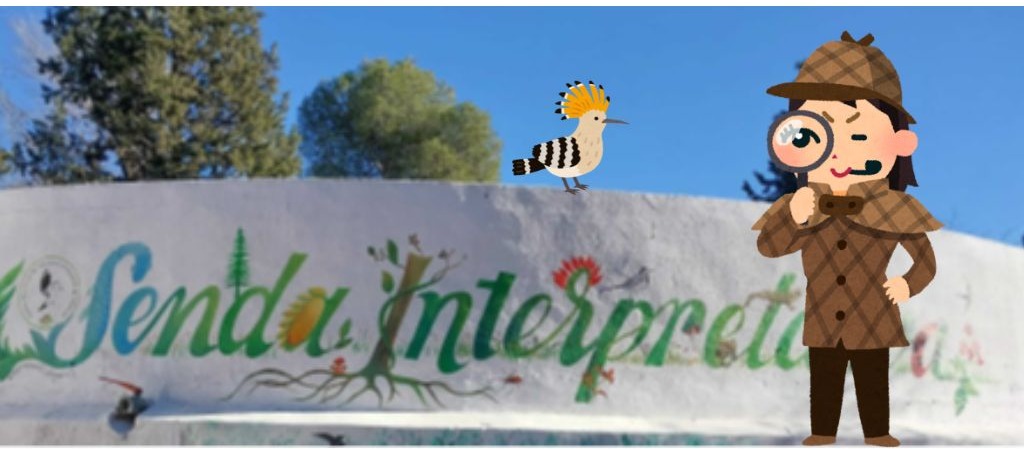 foto con ilustración detective y abubilla