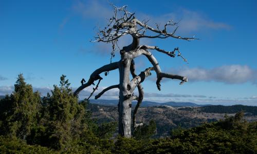 foto paisaje