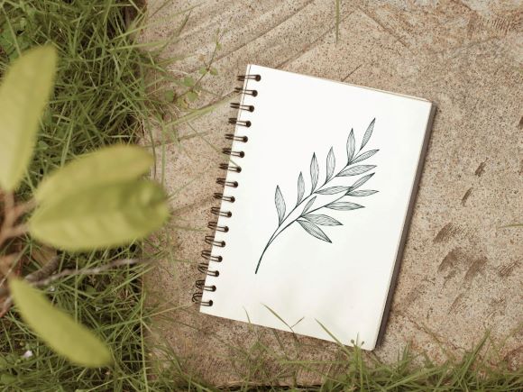 foto de cuaderno de campo con hoja
