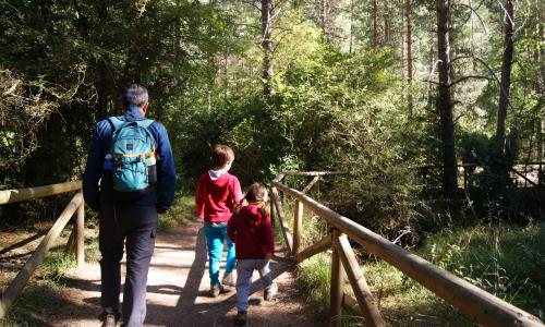 foto personas en campo