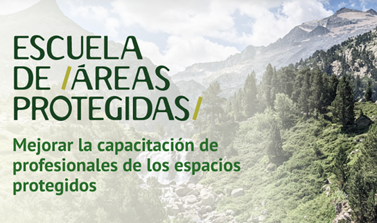 imagen paisaje