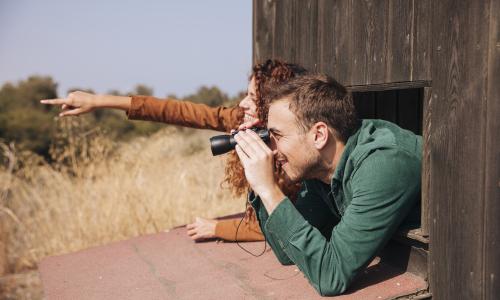 personas observando aves
