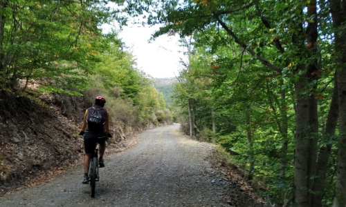 foto ciclista por camino