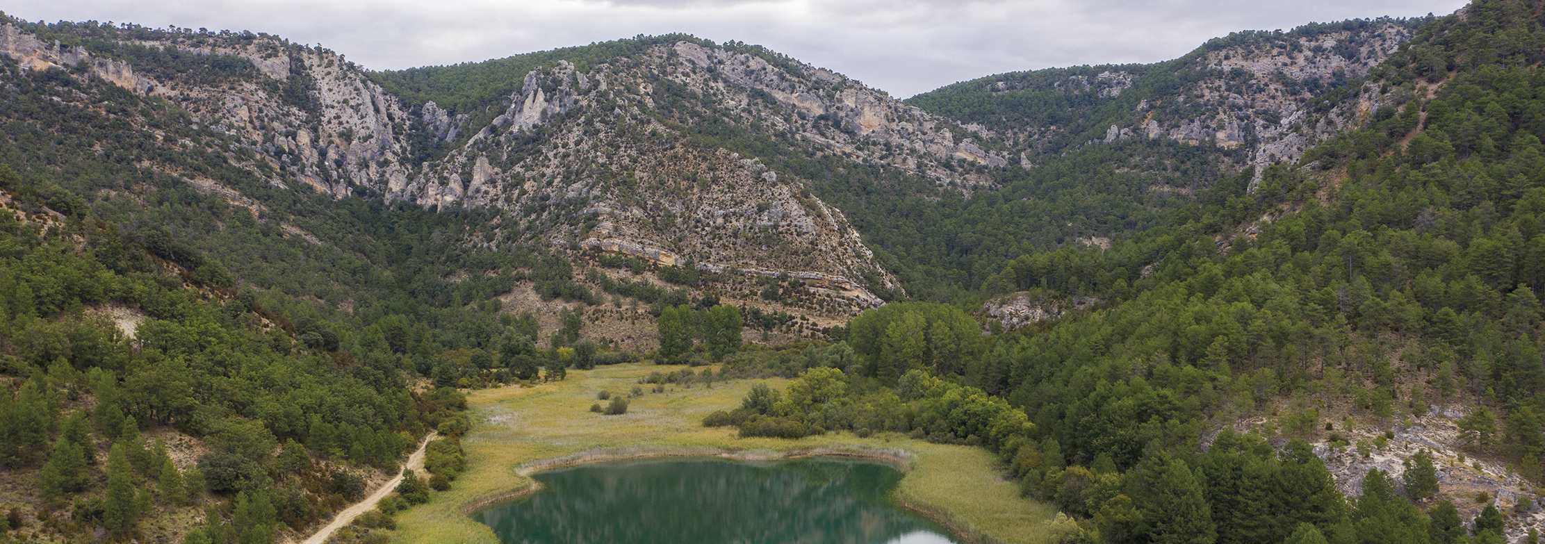 Parque Natural del Alto Tajo