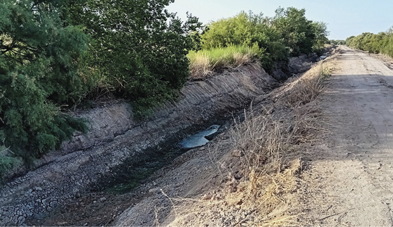 Filtro verde y camino de operaciones antes de la actuación