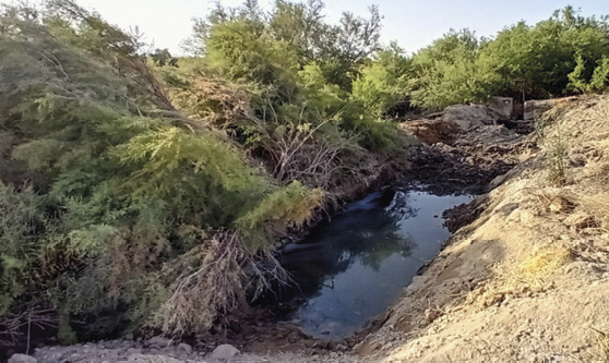 Desemboque del filtro verde con el canal de pluviales antes de la actuación