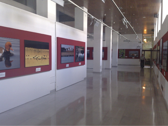 Exposiciones del programa PREXTA