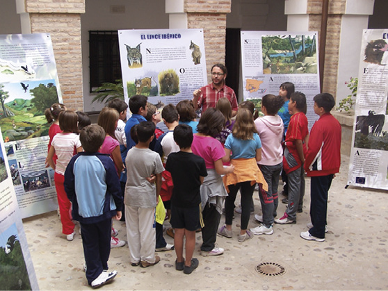Exposiciones del programa PREXTA