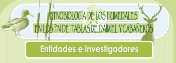 imagen roll up presentación