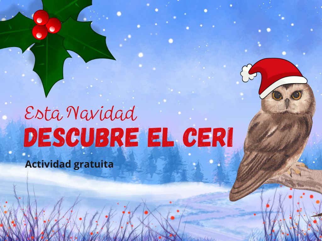 banner ceri navidad