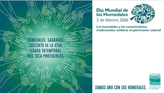 banner campaña 2026