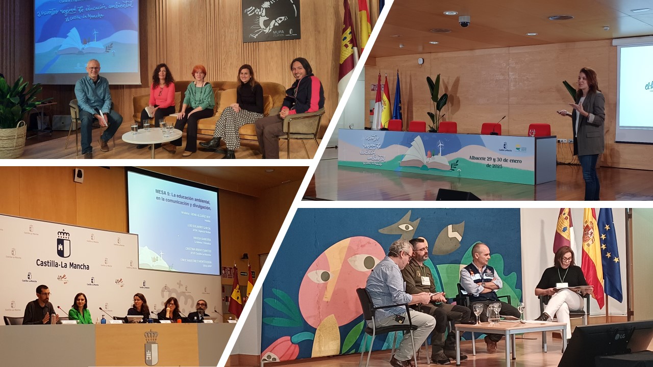 foto collage encuentros