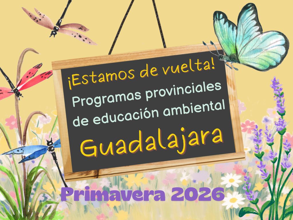 imagen campaña