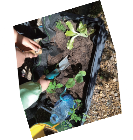 imagen manos en huerto