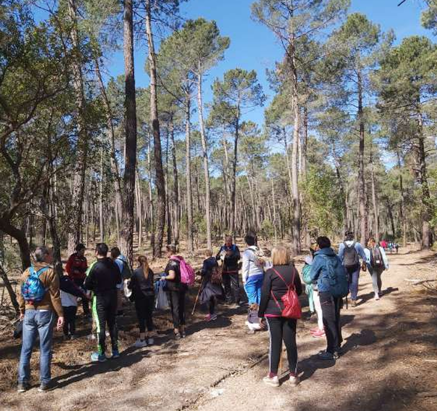 grupo en bosque