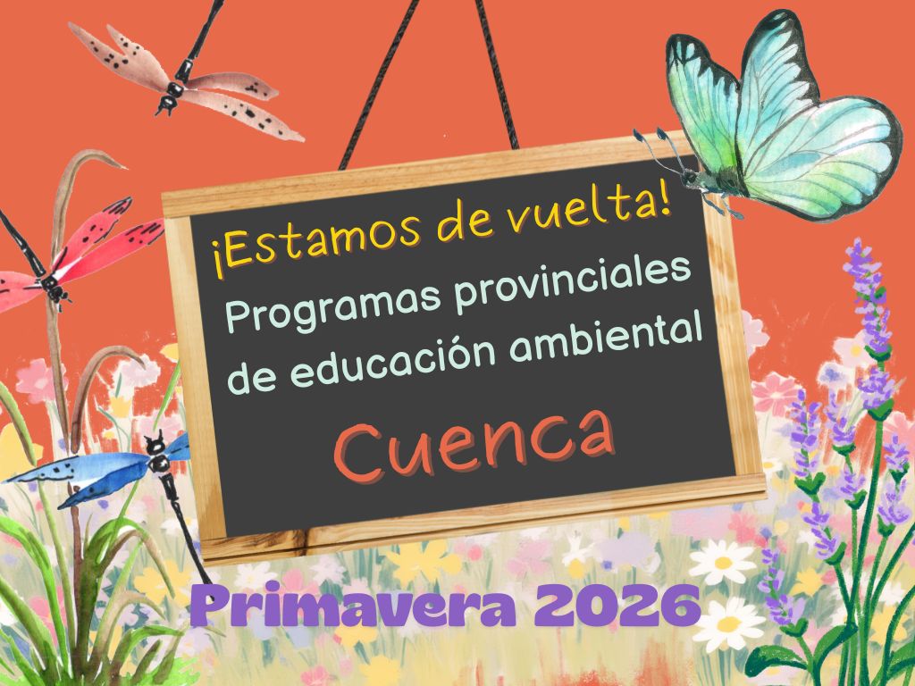 portada cuenca