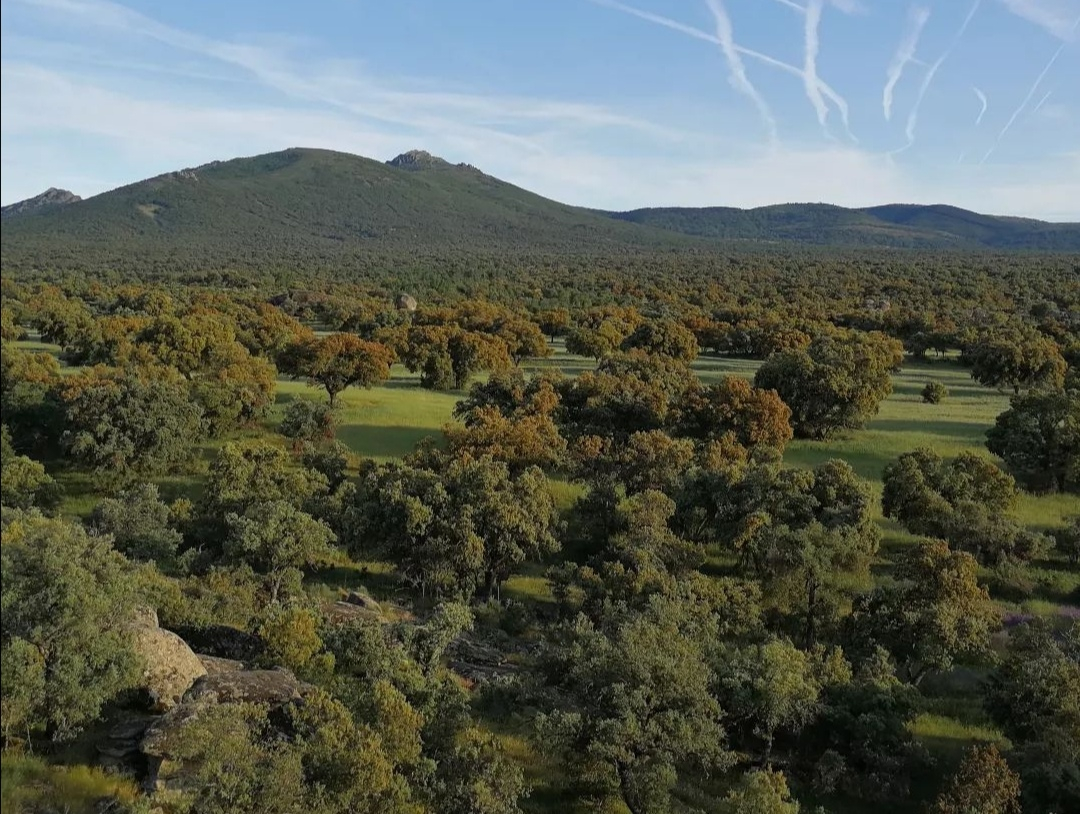 paisaje