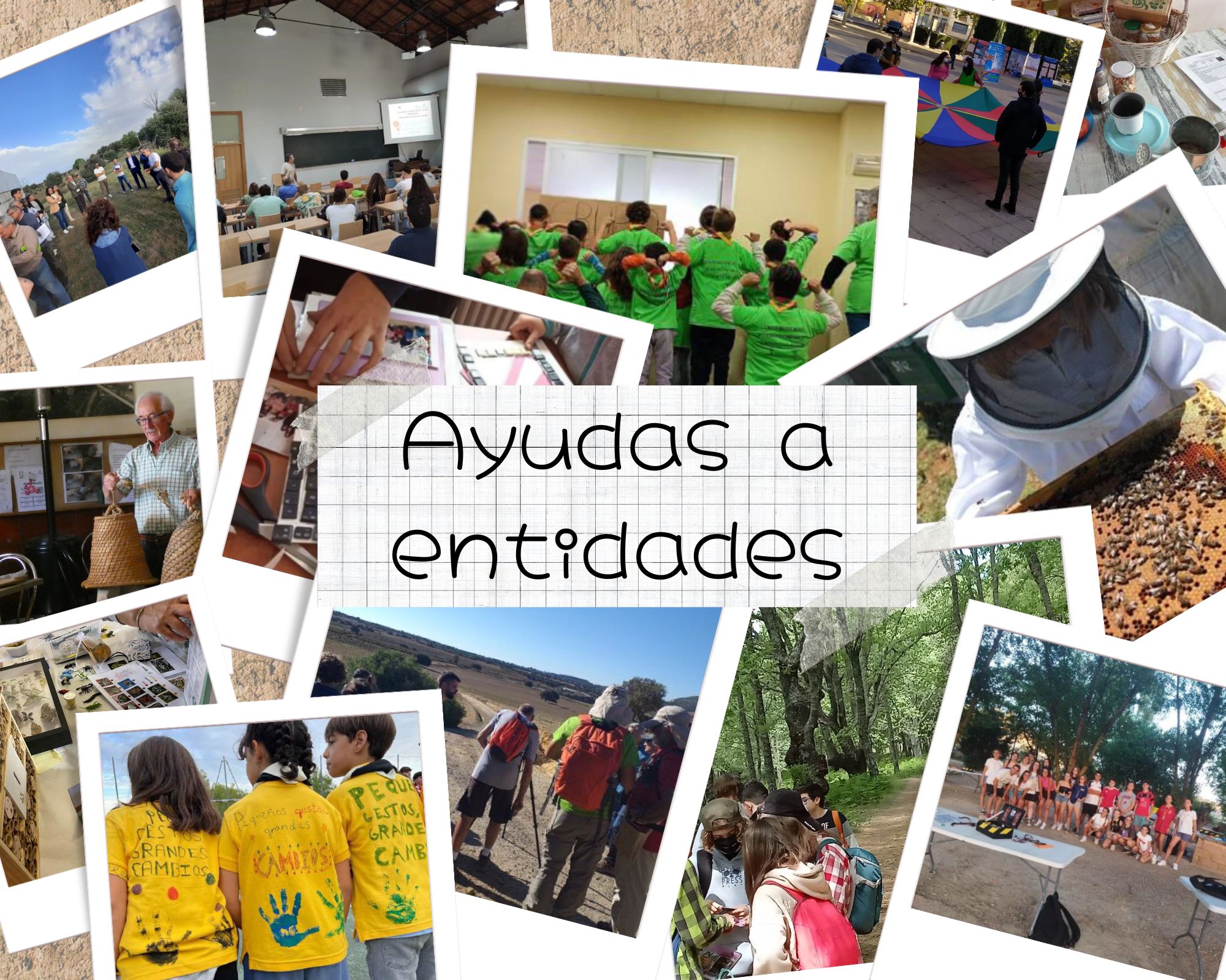 collage fotos proyectos