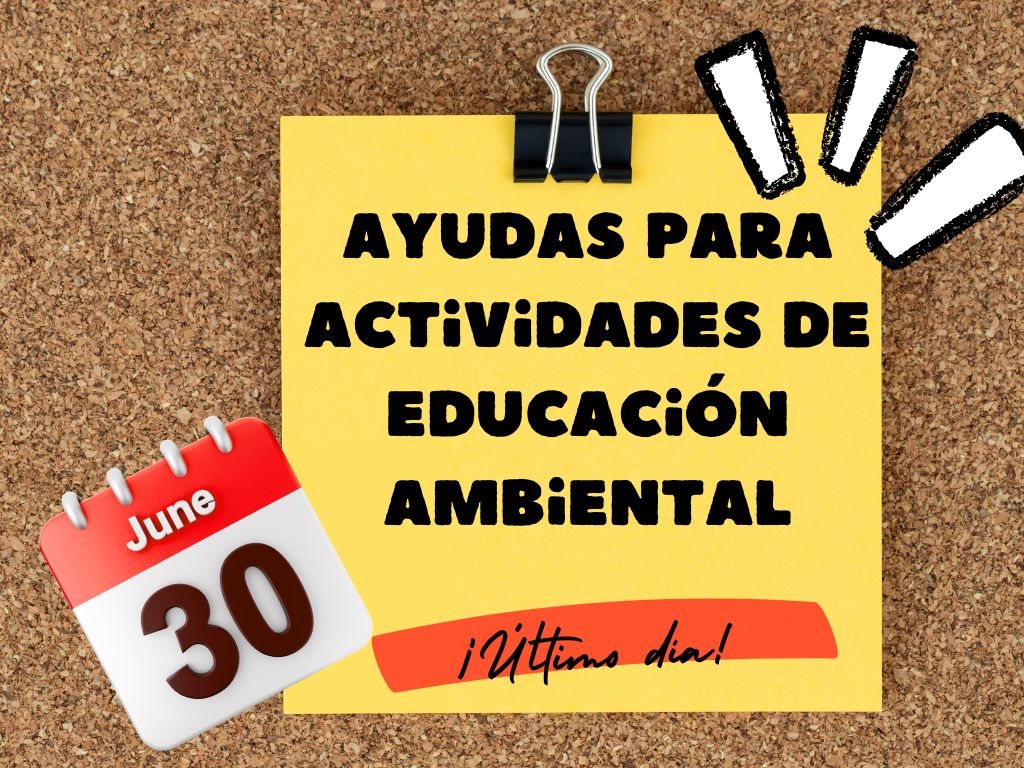 imagen último día