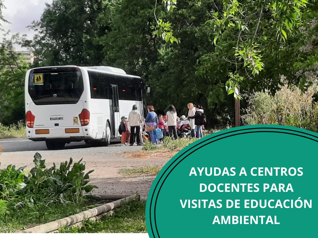 FOTO BUS EN VIVERO