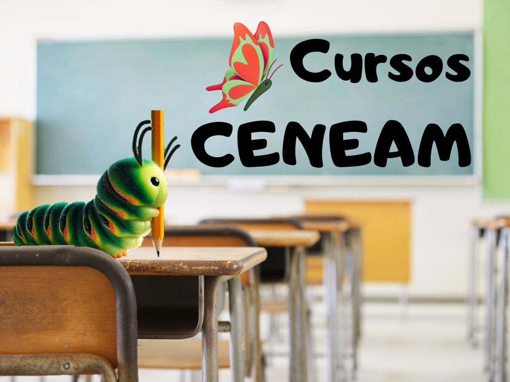 imagen cursos CENEAM