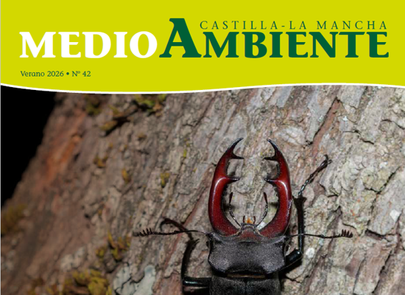 imagen portada revista