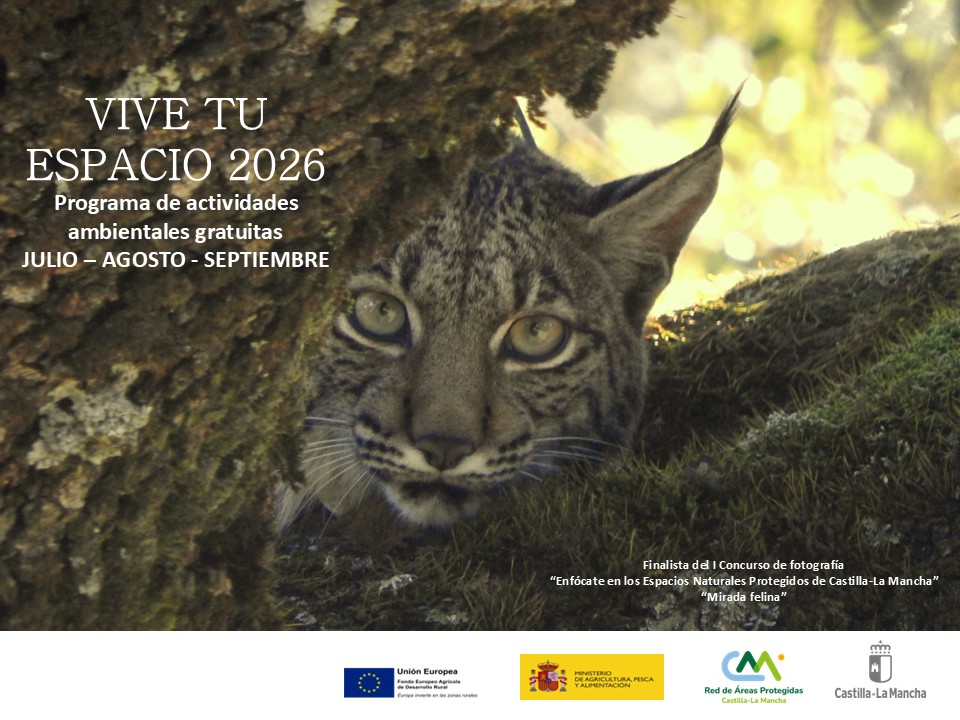 foto lince