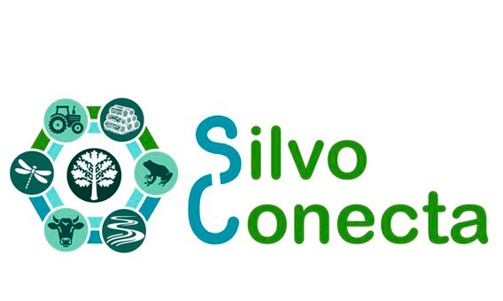 Logo Silvo Conecta