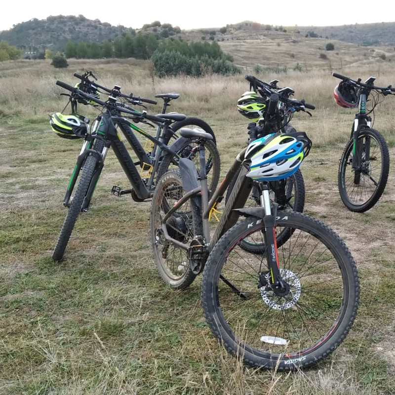 bicicletas