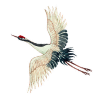 ilustración grulla