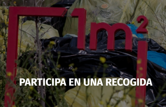 imagen campaña